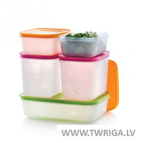Расширенный набор  FreezerSmart (5 шт.)