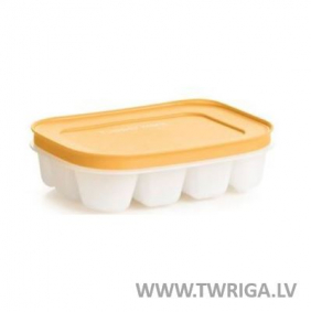 Ice Tray