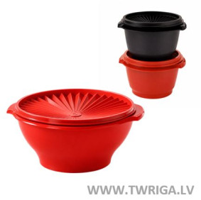 Set of Florida Bowl (3 pcs.)
